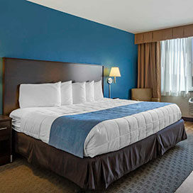 5 star hotels hartford The Capitol Hotel, Ascend Hotel Collection