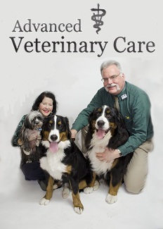 veterinary pharmacies in hartford Advanced Veterinary Care
