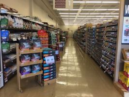 shops to buy dogs in hartford Pet Supplies Plus Wethersfield