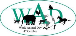 October 4 - World Animal Day