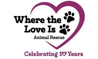 wildlife rescue service new haven Where The Love Is, Inc.