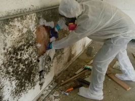 asbestos testing service new haven CT Asbestos Contracting LLC