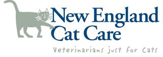 animal hospital new haven New England Cat Care