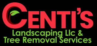 tree service new haven Centi's Landscaping LLC & Tree Removal Services