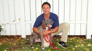 dog trainer stamford Bark Busters - Mike The Dog Trainer