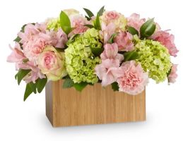 flower delivery stamford Allure Florist