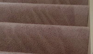 carpet cleaning service stamford Carpet Cleaning Stamford