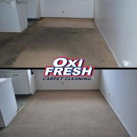 curtain and upholstery cleaning service stamford Oxi Fresh Carpet Cleaning
