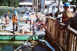 Learn More About Emergency Spill Response