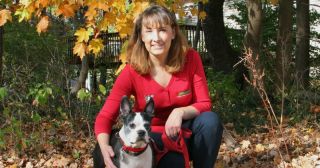 cat trainer stamford Bark Busters Home Dog Training Westchester