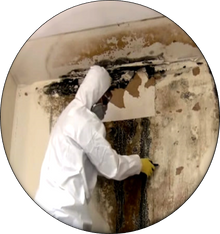 asbestos testing service stamford Homeguard Environmental Services