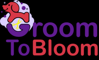 pet groomer stamford Groom To Bloom Dog Salon