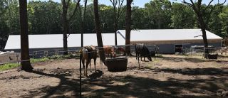 equestrian facility waterbury Hollow Hill Farm