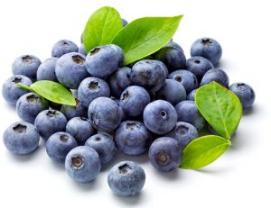 pick your own farm produce waterbury Lyman Orchards Pick Your Own Blueberries