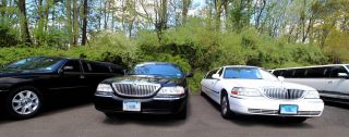 carriage ride service waterbury Carriage & Limousine Service Inc